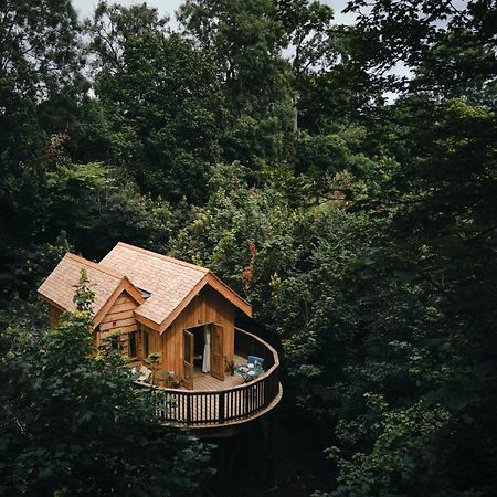 Wildhive Callow Hall 阿什伯恩 外观 照片